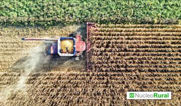 Brasil eval&uacute;a ampliar el riego agr&iacute;cola hasta 53,4 millones de hect&aacute;reas