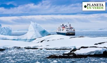 Descubren una gran colonia de nidos de peces en el hielo de la Ant&aacute;rtida: &iquest;Qu&eacute; significa para la ciencia?