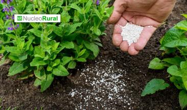 Brasil busca convertir lodos en fertilizantes agr&iacute;colas