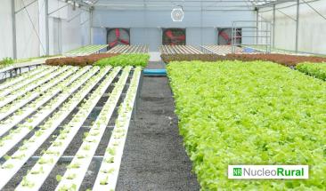Biocontrol en Europa enfrenta cambios regulatorios: &iquest;C&oacute;mo afecta a la agricultura?
