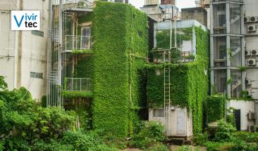 Crean edificios capaces de enfriarse con musgo Crean edificios capaces de enfriarse con musgo