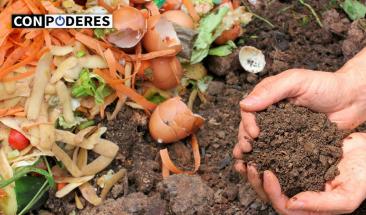 Empresa convierte residuos agr&iacute;colas en energ&iacute;a solar para edificios