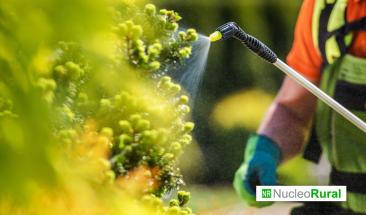 Biostimulantes y fertilizantes funcionales impulsan la innovaci&oacute;n agr&iacute;cola