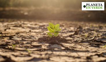 Cambio clim&aacute;tico: la tierra ya supera 7 de los 9 "l&iacute;mites vitales"
