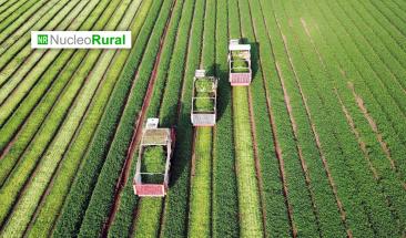 Agricultura biodin&aacute;mica: un modelo que integra suelo, cultivos y ganado