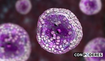 Logran rejuvenecer c&eacute;lulas humanas y hacerlas parecer d&eacute;cadas m&aacute;s j&oacute;venes