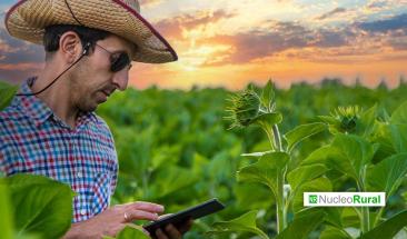 Estrategias de Agromarketing Digital: C&oacute;mo Conectar el Campo con el Consumidor