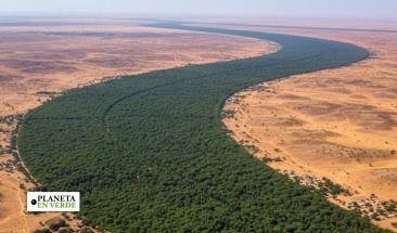 La gran muralla verde: el plan para restaurar 100 millones de hectáreas en África La gran muralla verde: el plan para restaurar 100 millones de hectáreas en África