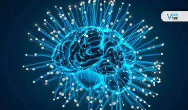Conectar el cerebro con el celular podría ser posible en menos de una década Conectar el cerebro con el celular podría ser posible en menos de una década