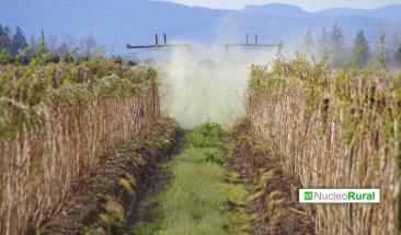 Biofungicida de ARN: c&oacute;mo funciona la tecnolog&iacute;a sin qu&iacute;micos tradicionales