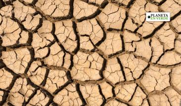 Muertes por calor alcanzan r&eacute;cord de 710.000 en 2023 por el cambio clim&aacute;tico