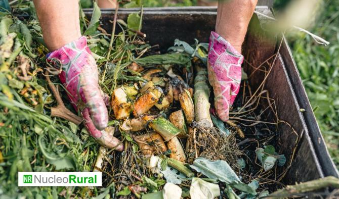 Residuos agr&iacute;colas: un desaf&iacute;o ambiental que exige gesti&oacute;n responsable