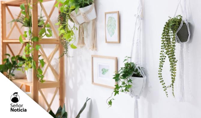 Decoraci&oacute;n sostenible: transforma tu hogar cuidando el planeta