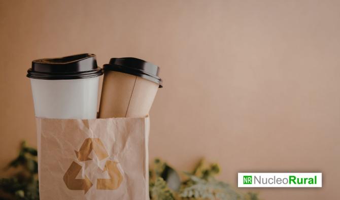 Caf&eacute; sostenible: c&oacute;mo se produce y su impacto en comunidades y medio ambiente