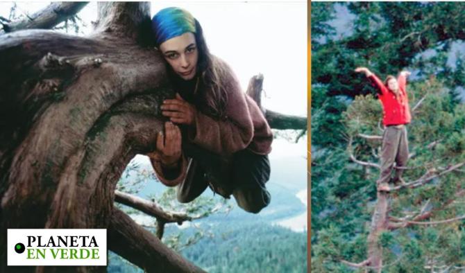 Julia Butterfly Hill: el triunfo de la resistencia ambiental sobre la industria forestal