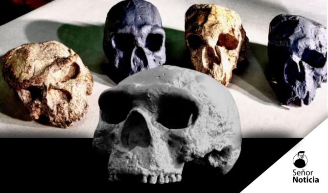 Cr&aacute;neo milenario en China redefine el origen temprano del Homo sapiens