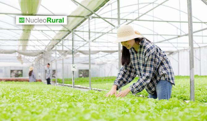 Agricultura regenerativa: los 10 criterios que ya marcan el nuevo est&aacute;ndar del campo