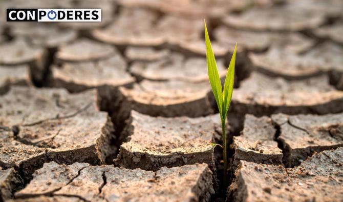 Cient&iacute;ficos descubren que podr&iacute;an combatir la desertificaci&oacute;n con cianobacterias