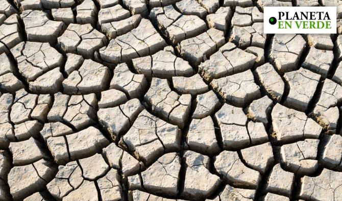 Super Ni&ntilde;o: qu&eacute; es y c&oacute;mo prepararse para el fen&oacute;meno clim&aacute;tico que preocupa a Am&eacute;rica Latina