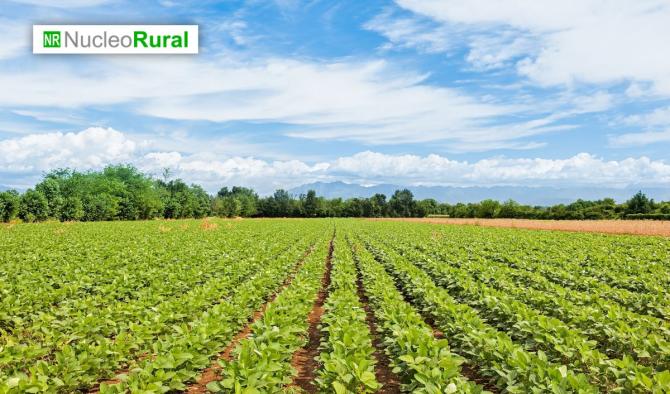 Proyecto europeo impulsa pl&aacute;sticos biodegradables para una agricultura m&aacute;s sostenible