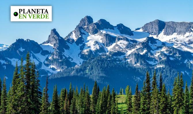 Cambio clim&aacute;tico amenaza la regeneraci&oacute;n de plantas alpinas