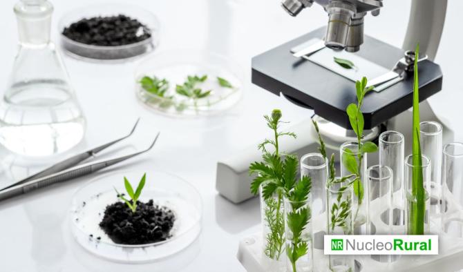 Plantas bioluminiscentes podr&iacute;an revolucionar la detecci&oacute;n de virus en los cultivos