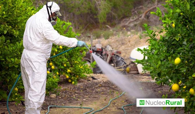 Pesticidas en Am&eacute;rica Latina: el costo invisible de la agricultura intensiva