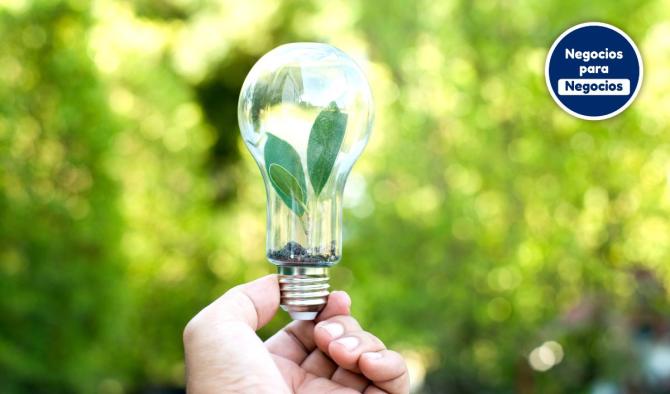 Startup mexicana busca crear la primera VPP Solar del pa&iacute;s