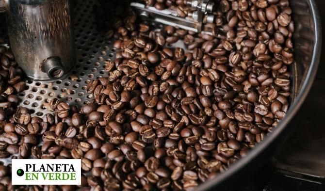 Piel de caf&eacute;: un material sostenible para la industria textil