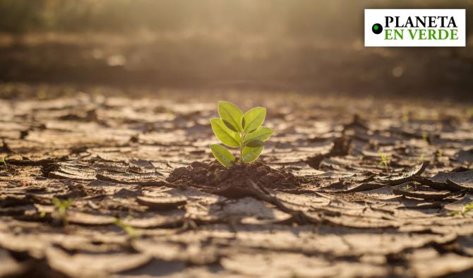 Cambio clim&aacute;tico: la tierra ya supera 7 de los 9 "l&iacute;mites vitales"