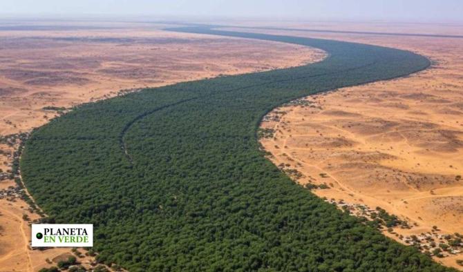 La gran muralla verde: el plan para restaurar 100 millones de hect&aacute;reas en &Aacute;frica