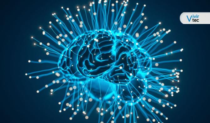 Conectar el cerebro con el celular podr&iacute;a ser posible en menos de una d&eacute;cada