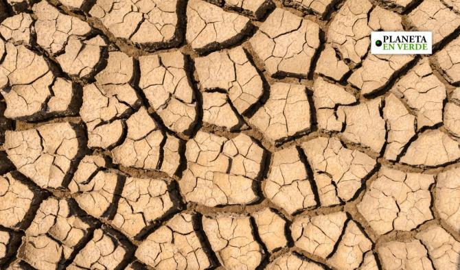 Muertes por calor alcanzan r&eacute;cord de 710.000 en 2023 por el cambio clim&aacute;tico